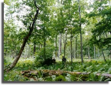 РљР°СЂС‚РёРЅРєР° 3