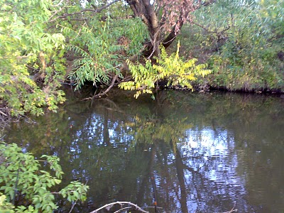 Флора заповедника
