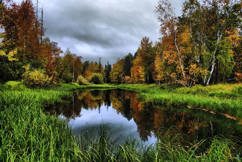 Флора заповедника